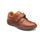 Chestnut