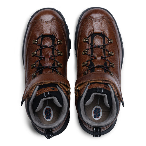 Chestnut