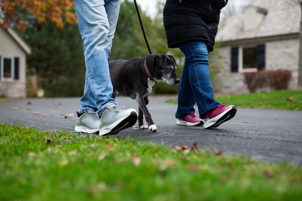 Couple walking dog wearing podiatrist recommended Dr Comfort Shoes